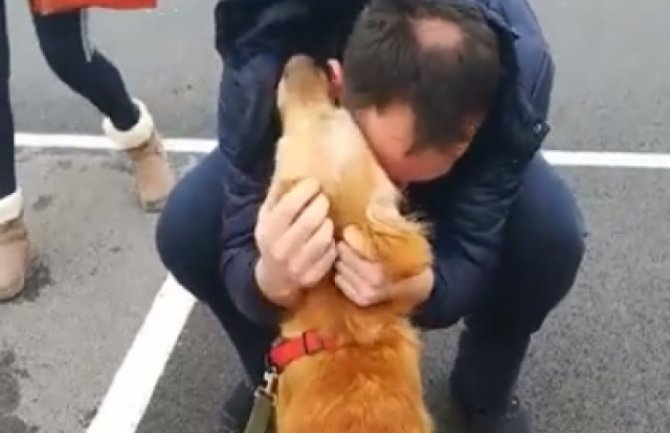 Snimak susreta izgubljenog psa i vlasnika nakon tri godine (VIDEO)