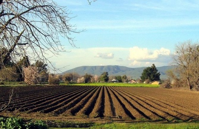  Crnogorskim poljoprivrednicima 51,8 miliona bespovratnih sredstava