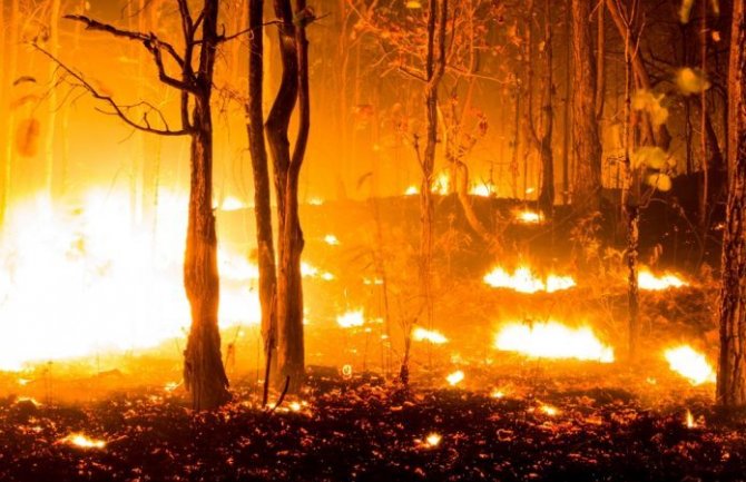 Požari na sjeveru Španije,preko 700 osoba gasi vatru