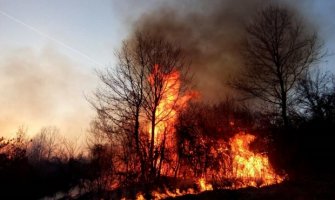 Za 7 dana 21 požar u Bijelom Polju: Odbranili kuću u Tomaševu, vatra zahvatila pomoćni objekat