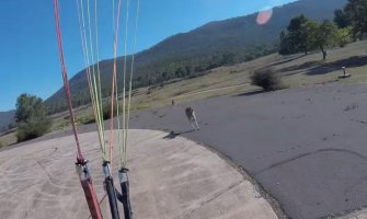 Paraglajderista se spuštao na tlo, a tamo ga dočekao razjareni kengur (VIDEO)