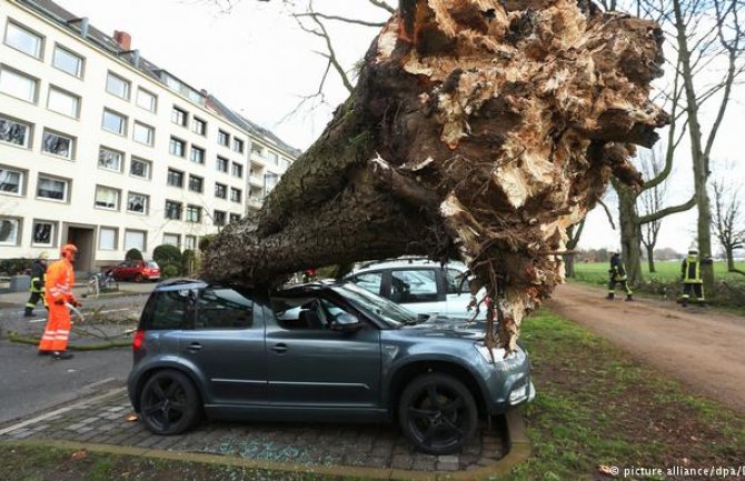 Oluja pogodila Njemačku: Letovi otkazani, drvo usmrtilo čovjeka(VIDEO)