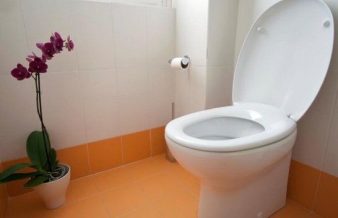 Papir preko daske na wc šolji ne štiti od bakterija!
