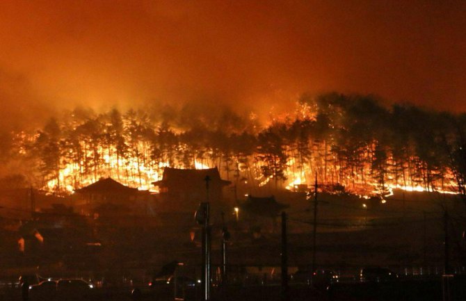 Bukte šumski požari u Južnoj Koreji: 4.000 ljudi evakuisano, ima i mrtvih