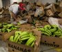 Kolumbija, kokain i banane: Kada narko dileri spoje unosne poslove