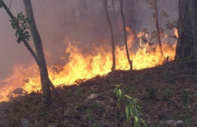 Na sjeveru Kosova više požara: Gorjele šume, deponija