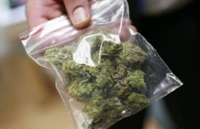 Budva: Pronađena marihuana i podnijeta prekršajna prijava