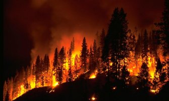 Studenti roštiljali pa izazvali požar u šumi, kazna 13 miliona eura