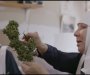Časne seste godišnje zarade skoro milion eura na prodaji marihuane u zdravstvene svrhe