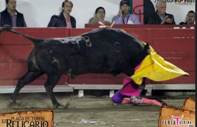Razjareni bik oborio ženu matadora na zemlju, onda i probio rogovima (VIDEO)