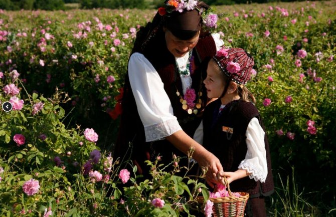  Članice Asocijacije poslovnih žena Crne Gore posjetile polja ruža i destilerije u Bugarskoj 