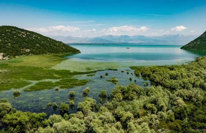 Služba zaštite NP Skadarsko jezero zatekla u nelegalnom izlovu ribe četiri lica
