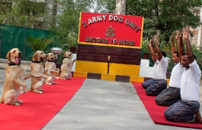 Granična policija vježbala jogu u pratnji svojih pasa 