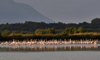 Ulcinjska Solana treće Ramsar područje u Crnoj Gori