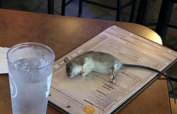 Čekala hranu u restoranu, na sto joj pao pacov 