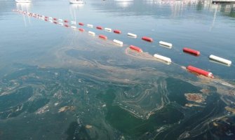 URA Tivat: Čistoća vode na obali ugrožena, Morsko dobro da pojasni kako kvalitet vode zadovoljava