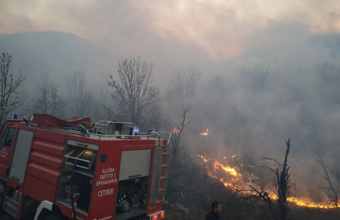 Šumski požar u Rvašima lokalizovan, vatrogasci branili kuće