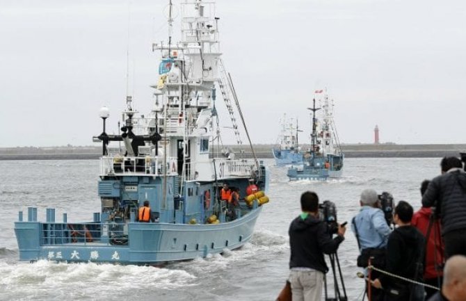 U Japanu počeo lov na kitove nakon 30 godina zabrane