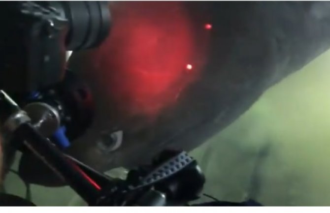 Čudovište iz dubina: Snimljena misteriozna dubinska džinovska ajkula (VIDEO)