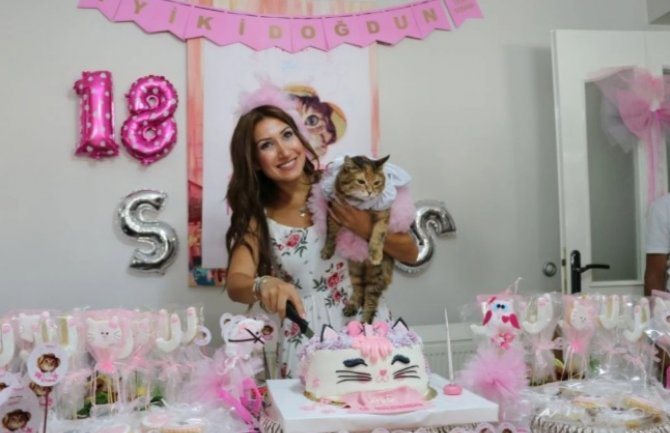 Mačka proslavila 18. rođendan, torta, haljina, pokloni...