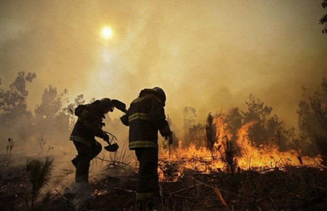Više od 1.000 vatrogasaca se bori protiv šumskih požara