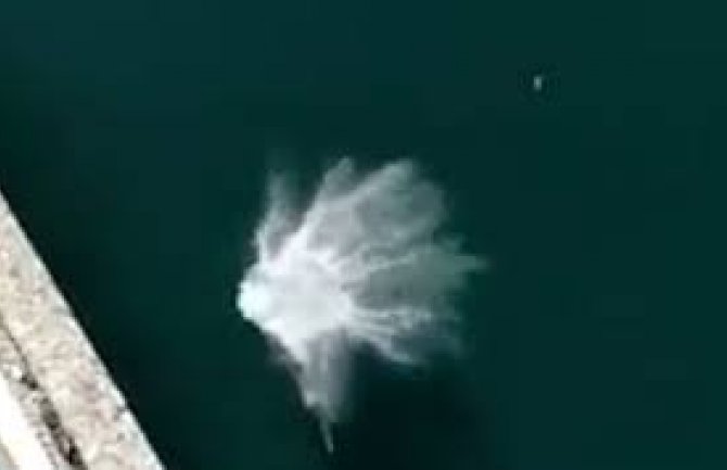 Pojavio se snimak muškarca koji je skočio sa Šibenskog mosta (VIDEO)