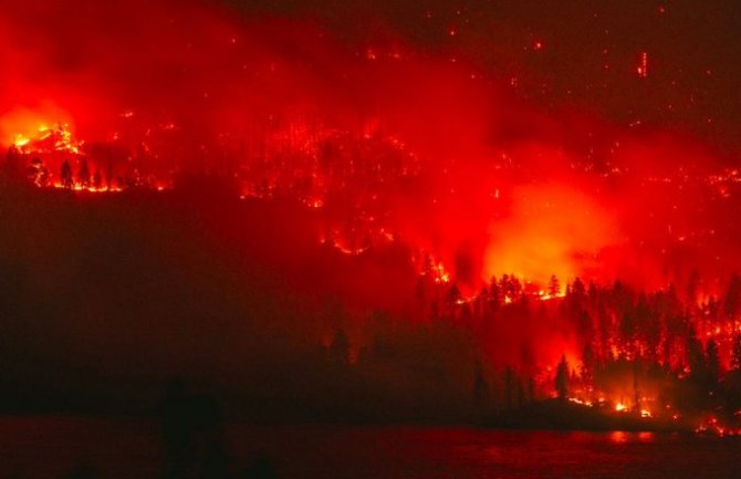 Vatra  uništila nekoliko miliona hektara šume, Putin poslao vojsku, Tramp ponudio pomoć
