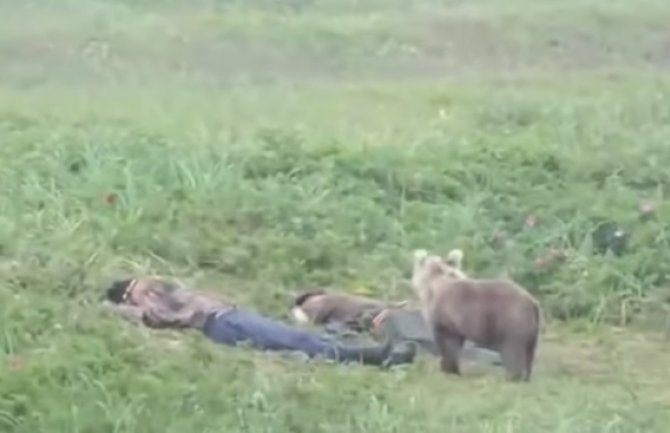 Buđenje uz vrisku: Zaspali u travi pa ih probudio medvjed (VIDEO)