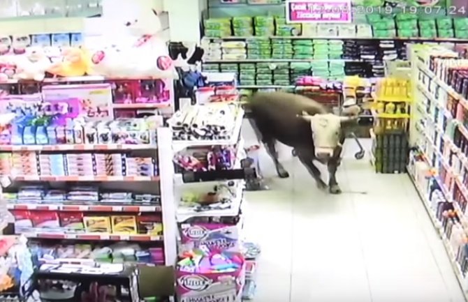 Kupio kurban od 750 kilograma, ali on mu pobjegao u market(VIDEO)