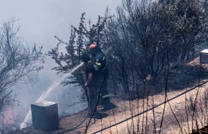 Širom Grčke mobilisano više od 1.000 vatrogasaca (VIDEO)