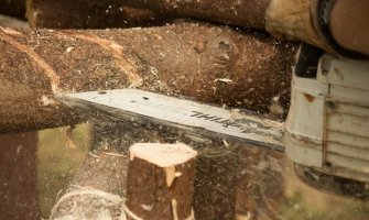 Savez drvoprerađivača: Joković da stane na kraj kriminalnim klanovima koji državu godišnje koštaju 70 miliona eura