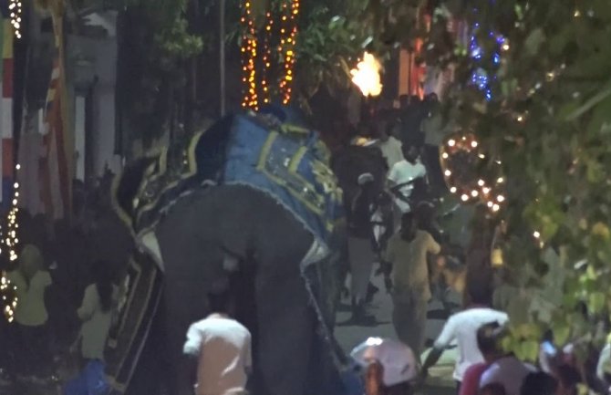 Razjareni slon „razbio“ vjersku povorku, najmanje 18 osoba povrijeđeno (VIDEO)