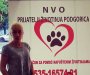 Policija da zaustavi krvave borbe pasa