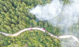 Lokalizovan požar na Rumiji, vatrogasci dežuraju zbog vjetra