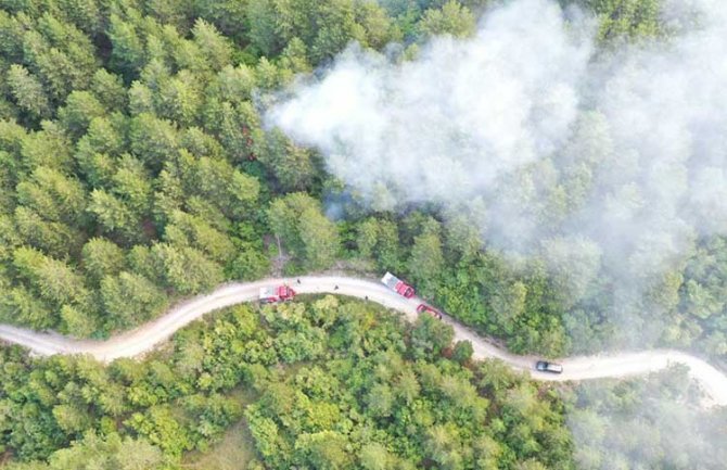 Lokalizovan požar na Rumiji, vatrogasci dežuraju zbog vjetra