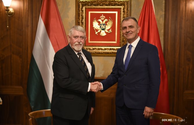 Mađarska će pomoći u reformi Zavoda za hitnu medicinsku pomoć i prevenciji malignih bolesti