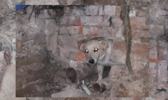 Pljevlja: Vatrogasci razbili zid kako bi oslobodili psa