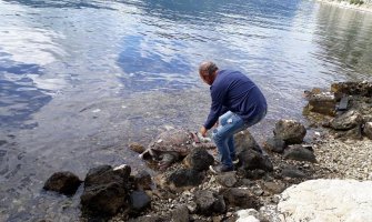 Pronađen leš morske kornjače stare oko 25 godina, treći slučaj u ovom mjesecu 