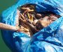 Ogromne plastične kese sa mrtvim kokoškama plutaju Bojanom