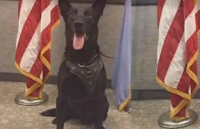 Orden psu Američke tajne službe za hrabrost u zaštiti predsjednika Obame