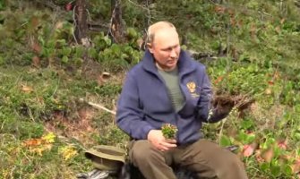 Putin proslavio svoj 67. rođendan skupljajući pečurke (VIDEO)