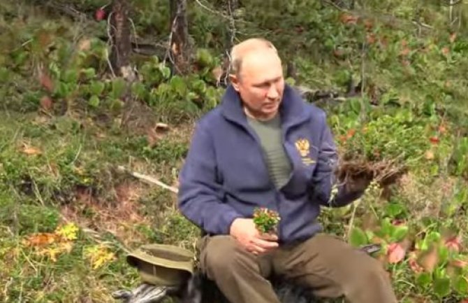 Putin proslavio svoj 67. rođendan skupljajući pečurke (VIDEO)