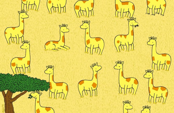 Koja žirafa nema svoj par?