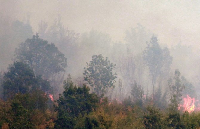 Bijelo Polje: Peti dan požara na Lisi, vatrogasci od jutros pješke i sa naprtnjačama u borbi sa vatrom