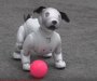 Pas robot: Ne jede, ne prlja, ne traži šetnju i nije jeftina igračka (VIDEO)