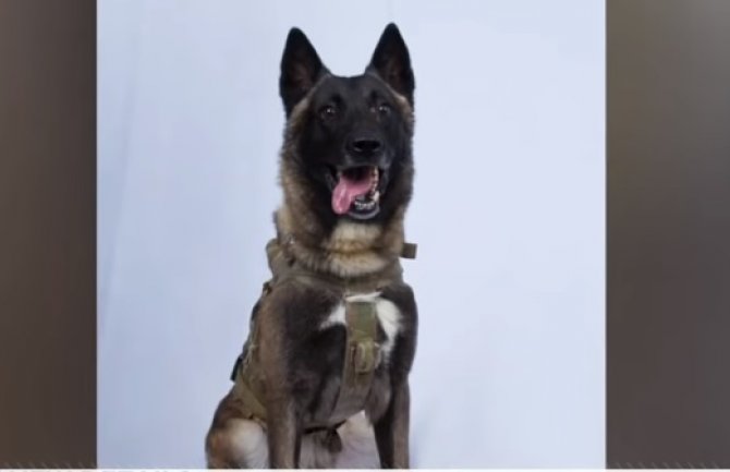 Pas, učesnik u napadu na Bagdadija biće gost Bijele kuće (VIDEO)