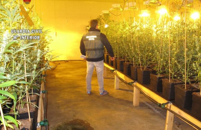 Detalji hapšenja Beranca u Španiji: Zaplijenjeno 2.685 stabljika marihuane i 12.300 eura u kešu
