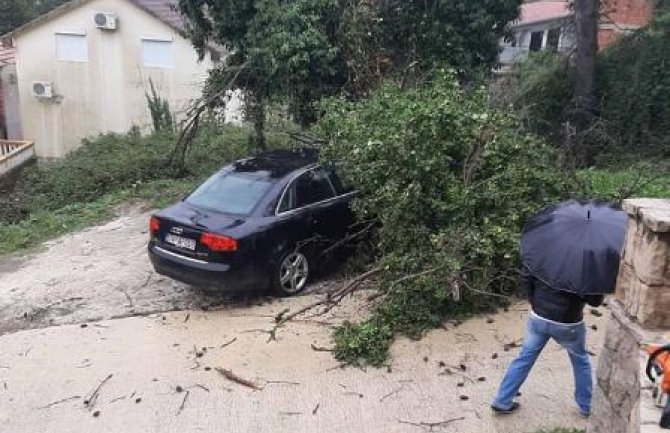 Tivat: Usljed nevremena stablo palo na automobil