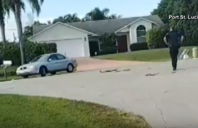Vlasnik ostavio upaljen automobil, pas ubacio mjenjač u rikverc i vozio u krug sat vremena(VIDEO)