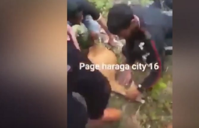 Migranti zaklali lane u šumi, pojeli ga i sve objavili na Facebooku(VIDEO)
